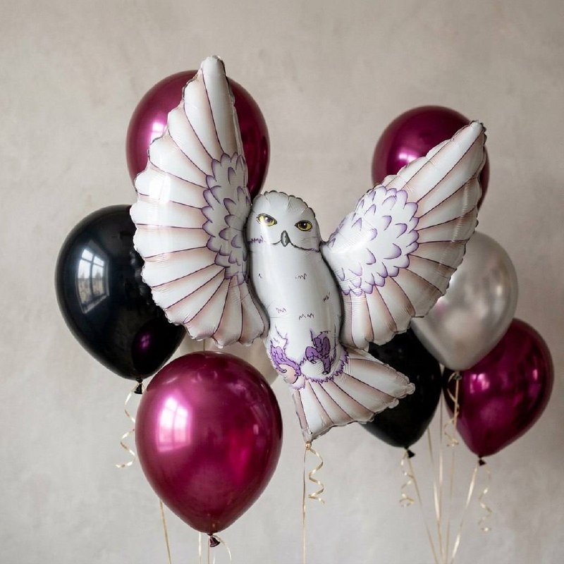 Сет шаров «Полёт совы»